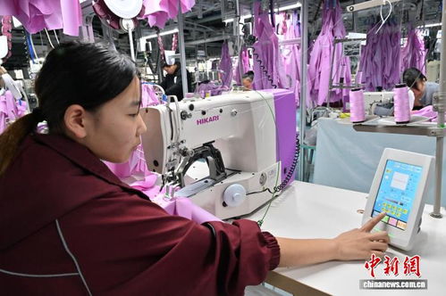 節(jié)后趕工忙，輔料制造助商丘服裝產(chǎn)業(yè)煥新顏